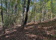 Garfield Carter Rd property photo