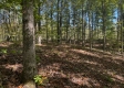 Garfield Carter Rd property photo