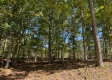 Garfield Carter Rd property photo