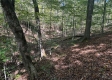 Garfield Carter Rd