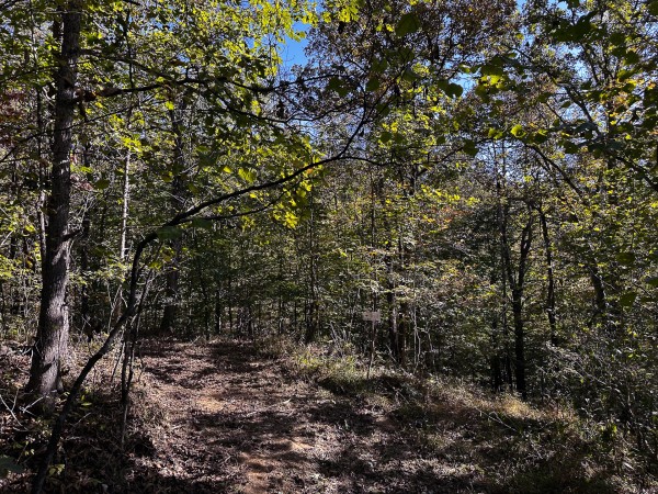 Skyline Cabin - The Woods on Wayne National Forest property photo
