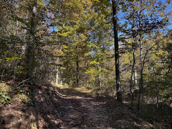 Skyline Cabin - The Woods on Wayne National Forest property photo