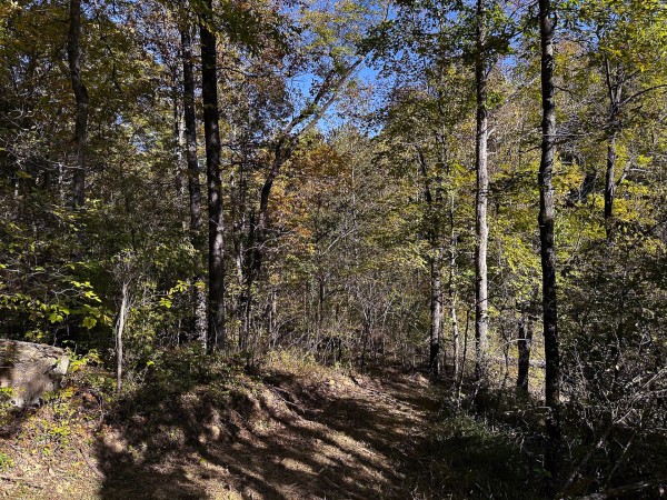 Skyline Cabin - The Woods on Wayne National Forest property photo