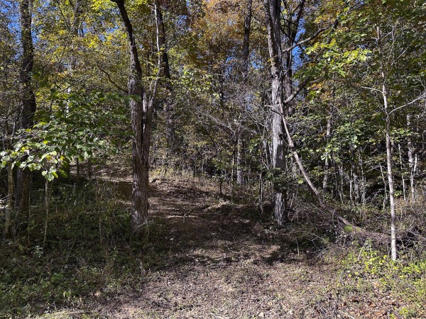 Skyline Cabin - The Woods on Wayne National Forest property photo