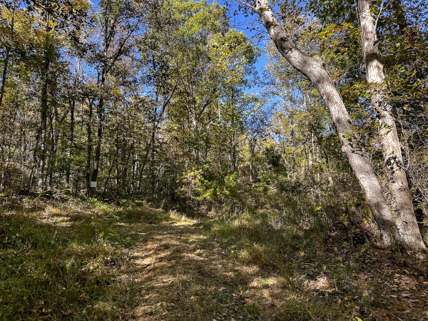 Skyline Cabin - The Woods on Wayne National Forest property photo