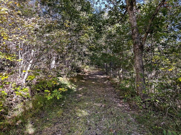 Skyline Cabin - The Woods on Wayne National Forest property photo