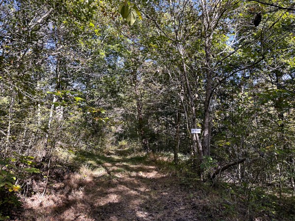 Skyline Cabin - The Woods on Wayne National Forest property photo