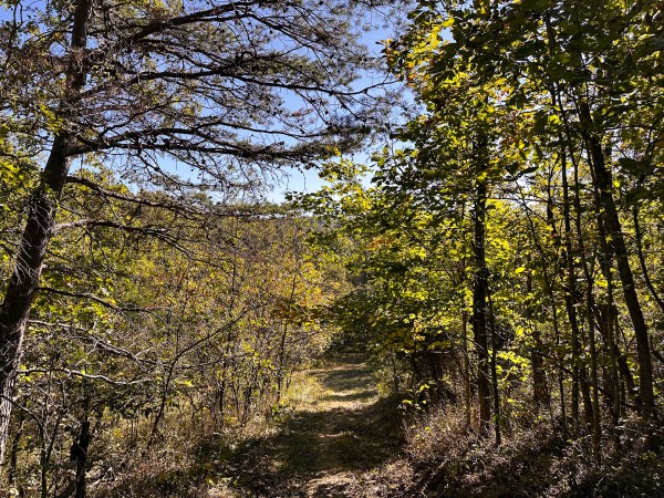 Skyline Cabin - The Woods on Wayne National Forest property photo