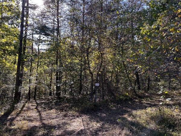 Skyline Cabin - The Woods on Wayne National Forest property photo