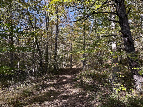 Skyline Cabin - The Woods on Wayne National Forest property photo