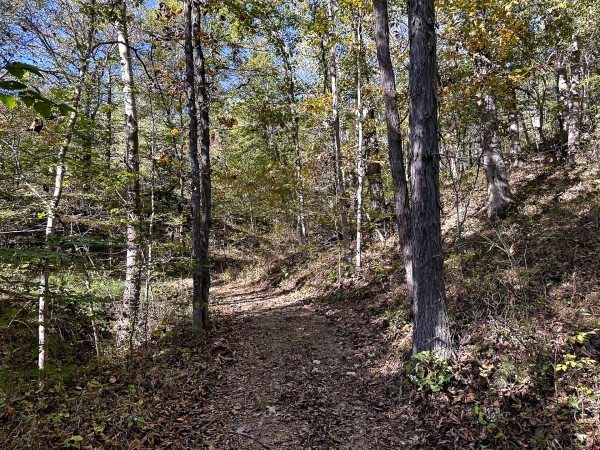 Skyline Cabin - The Woods on Wayne National Forest property photo
