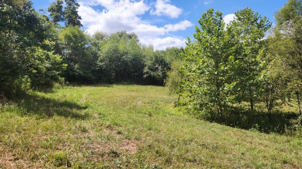 Tract 11 at Albany Woods 2 Awesome Caves property photo