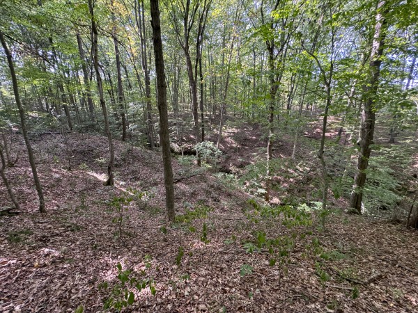 Tract 11 at Albany Woods 2 Awesome Caves property photo