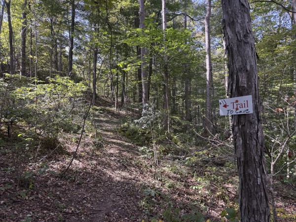 Tract 11 at Albany Woods 2 Awesome Caves property photo