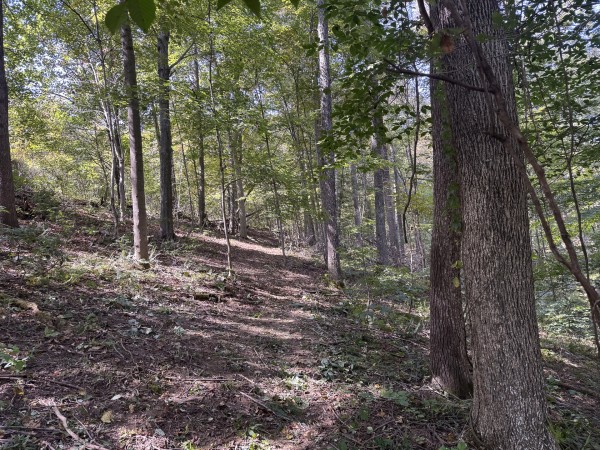 Tract 11 at Albany Woods 2 Awesome Caves property photo