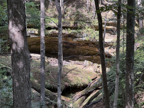 Tract 11 at Albany Woods 2 Awesome Caves property photo