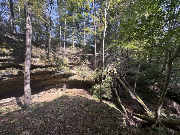 Tract 11 at Albany Woods 2 Awesome Caves property photo