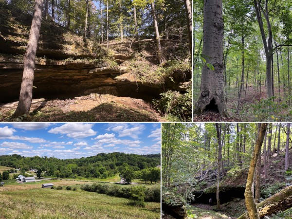 More of Tract 11 at Albany Woods 2 Awesome Caves