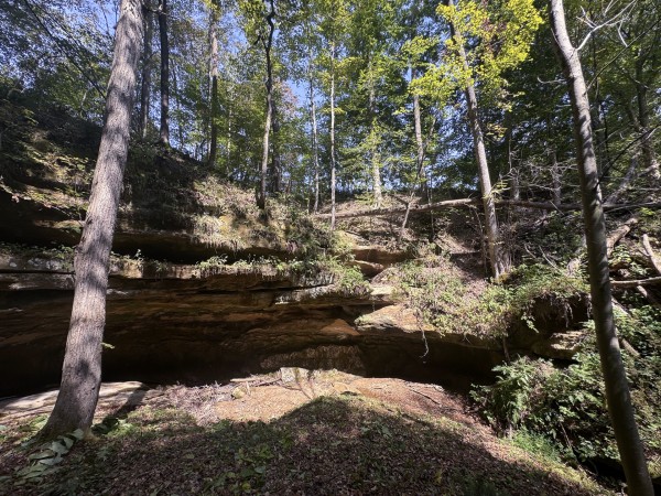 Tract 11 at Albany Woods 2 Awesome Caves property photo