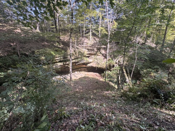 Tract 11 at Albany Woods 2 Awesome Caves property photo