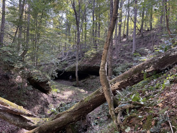 Tract 11 at Albany Woods 2 Awesome Caves property photo