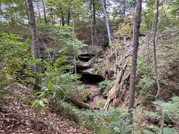 Tract 11 at Albany Woods 2 Awesome Caves property photo