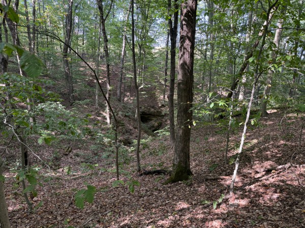 Tract 11 at Albany Woods 2 Awesome Caves property photo