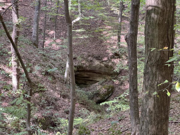 Tract 11 at Albany Woods 2 Awesome Caves property photo