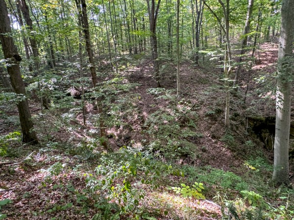 Tract 11 at Albany Woods 2 Awesome Caves property photo