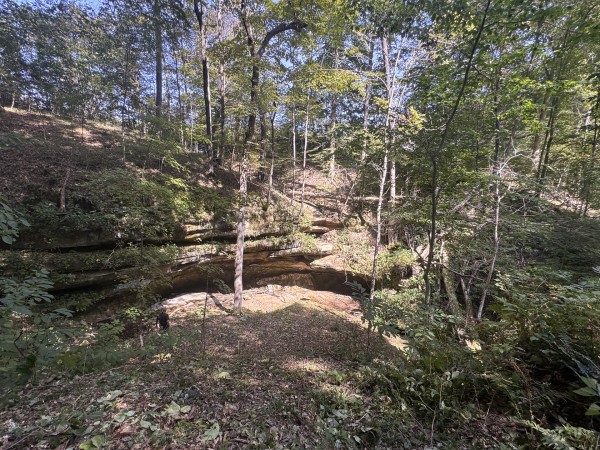 More of Tract 11 at Albany Woods 2 Awesome Caves