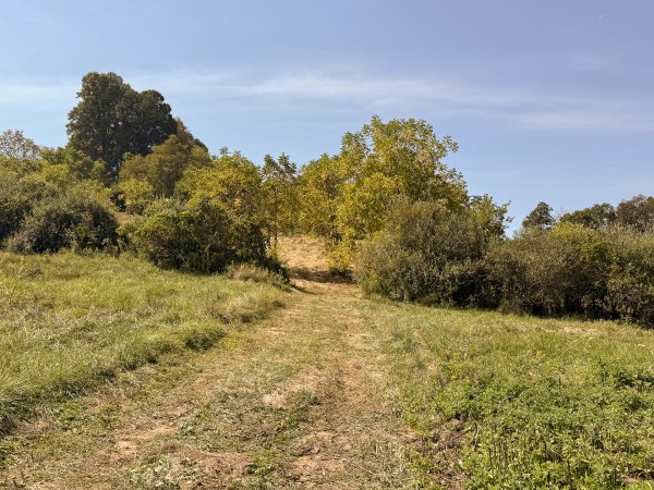 Tract 11 at Albany Woods 2 Awesome Caves property photo