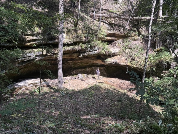 More of Tract 11 at Albany Woods 2 Awesome Caves