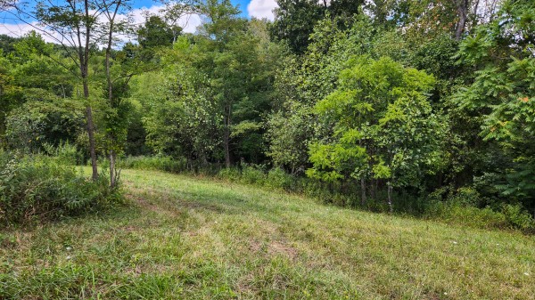 Tract 11 at Albany Woods 2 Awesome Caves property photo