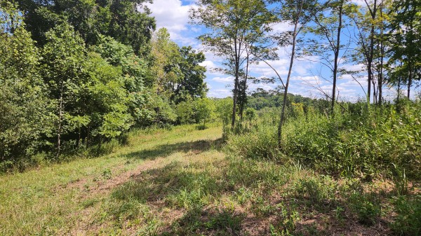 Tract 11 at Albany Woods 2 Awesome Caves property photo