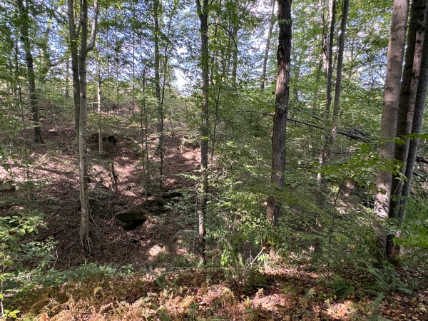 Tract 11 at Albany Woods 2 Awesome Caves property photo