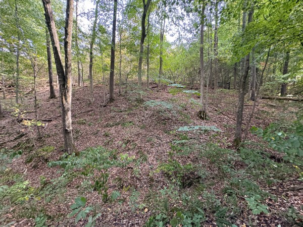 Tract 11 at Albany Woods 2 Awesome Caves property photo