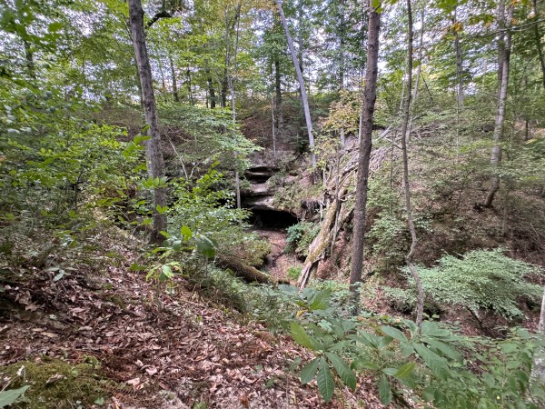 Tract 11 at Albany Woods 2 Awesome Caves property photo