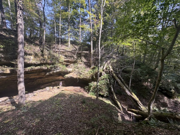 More of Tract 11 at Albany Woods 2 Awesome Caves