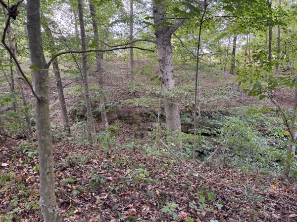 Tract 11 at Albany Woods 2 Awesome Caves property photo