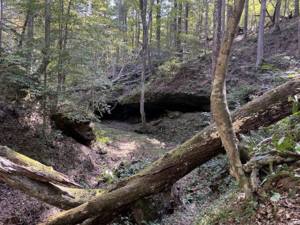 More of Tract 11 at Albany Woods 2 Awesome Caves
