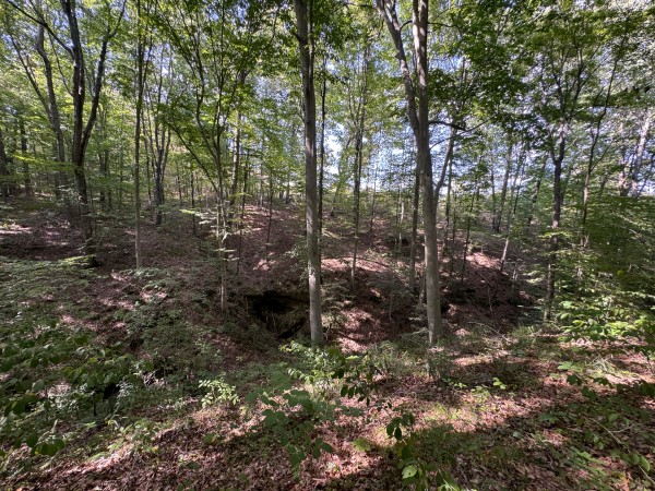 Tract 11 at Albany Woods 2 Awesome Caves property photo