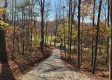 Tract 8 – Brady Road on Wayne property photo