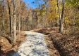 Tract 8 – Brady Road on Wayne property photo