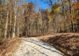 Tract 8 – Brady Road on Wayne property photo