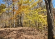 Tract 8 – Brady Road on Wayne property photo