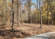 Tract 8 – Brady Road on Wayne property photo