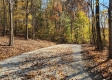 Tract 8 – Brady Road on Wayne property photo