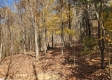 Tract 8 – Brady Road on Wayne property photo
