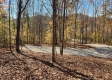 More of Tract 8 – Brady Road on Wayne