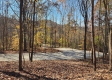 More of Tract 8 – Brady Road on Wayne